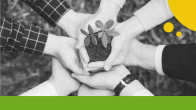 Several hands holding a growing plant together