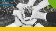 Hands holding a plant
