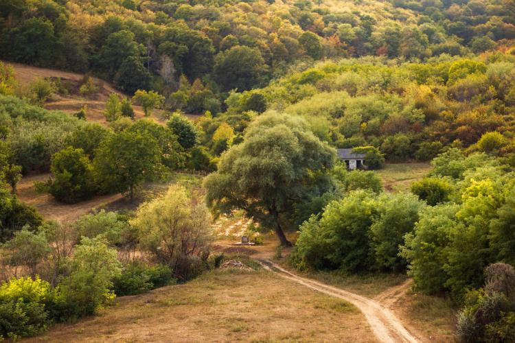 Picturesque scene somewhere in Republic of Moldova
