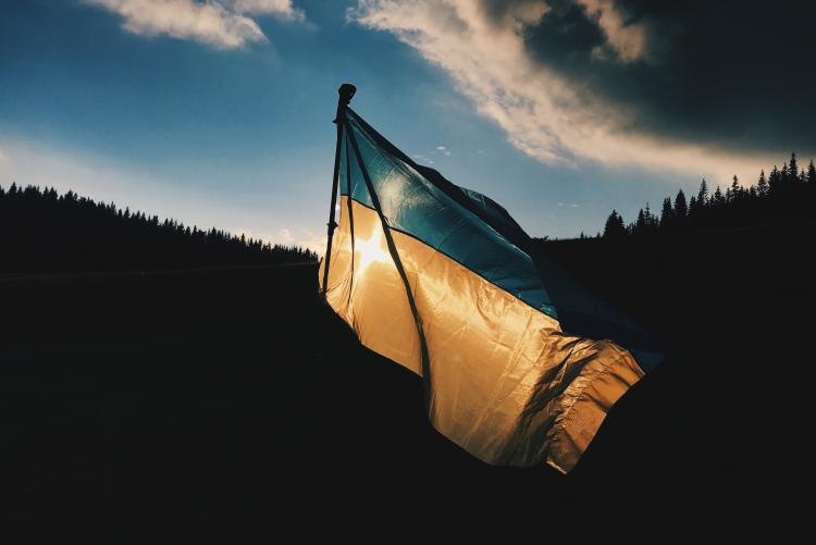 flag of Ukraine in a forest