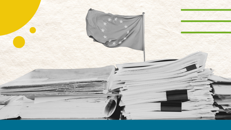EU Accession Roadmaps